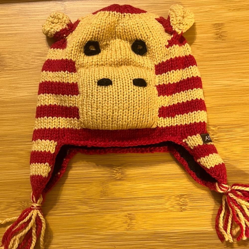 Artesania Alpaca Wool Kids Hat from Bolivia